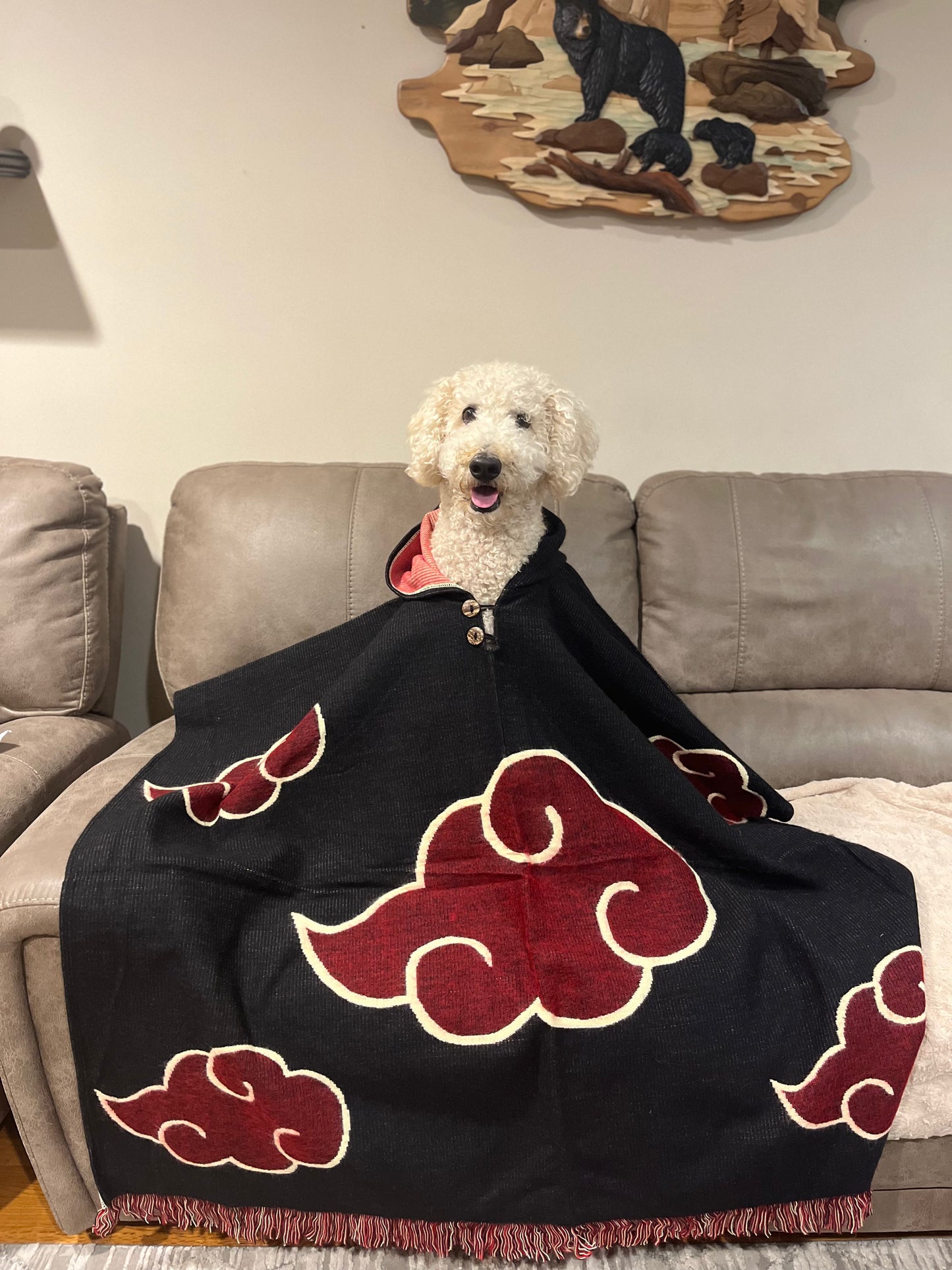Akatsuki poncho